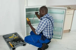 Fridge Repair Service